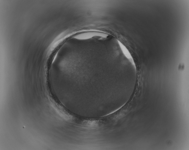 X0000111580295200908271042