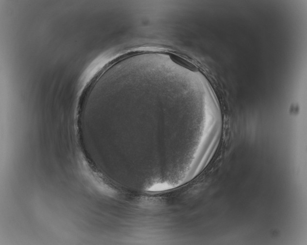 X0000111580296200908271042