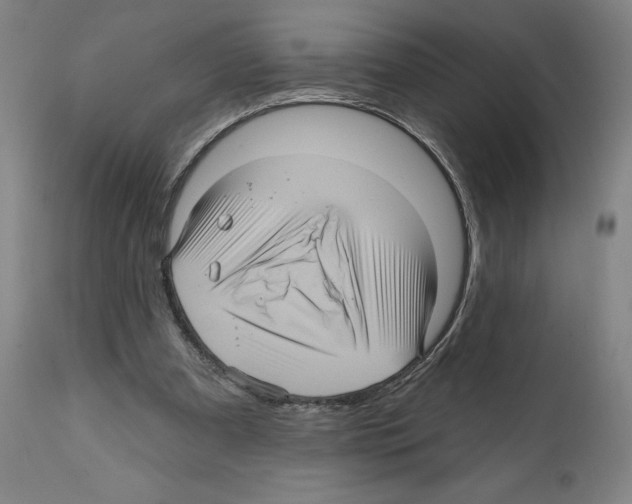 X0000111580297200908271042