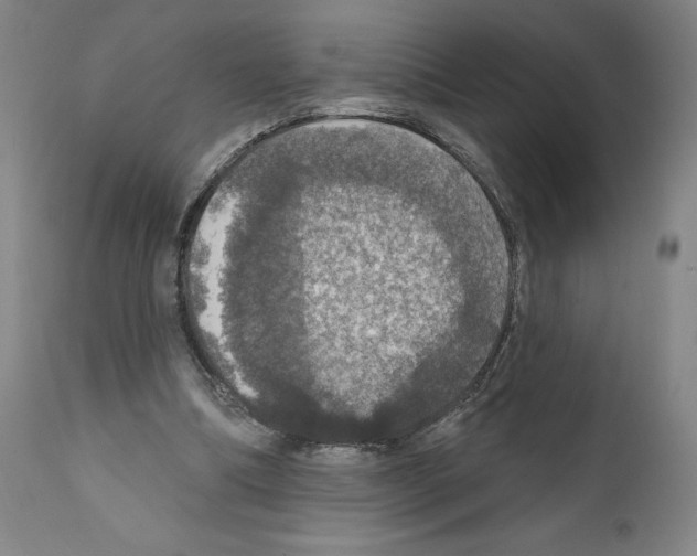 X0000111580298200908271042