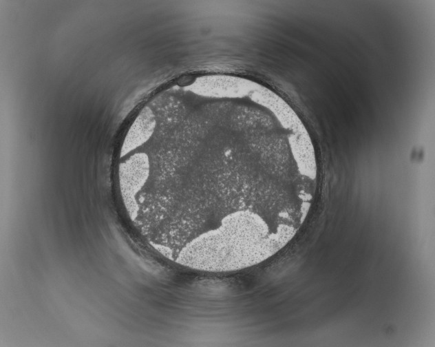 X0000111580299200908271042