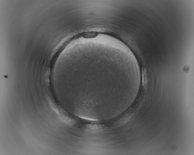 X0000111580300200908271042