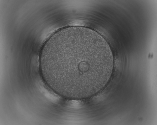 X0000111580302200908271042