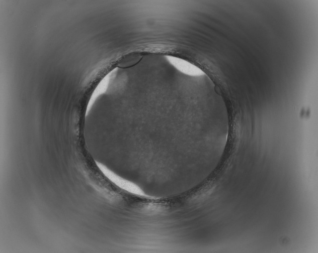 X0000111580303200908271042