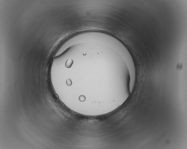 X0000111580304200908271042