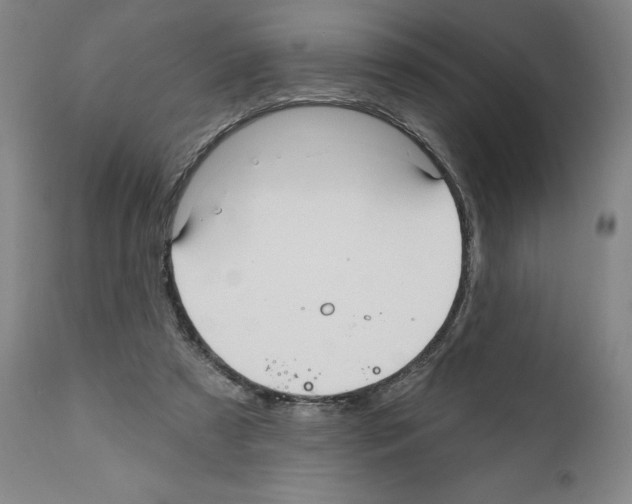 X0000111580305200908271042