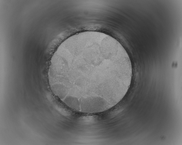 X0000111580307200908271042