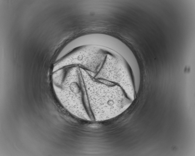 X0000111580308200908271042