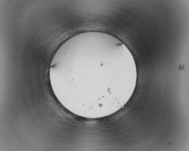 X0000111580309200908271042