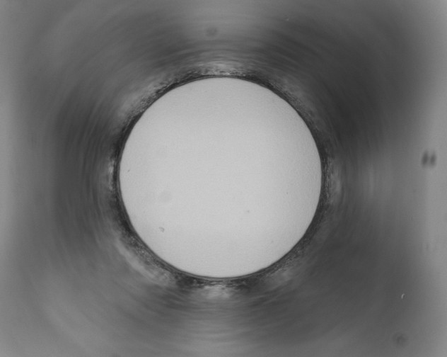 X0000111580310200908271042