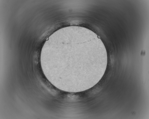 X0000111580311200908271042