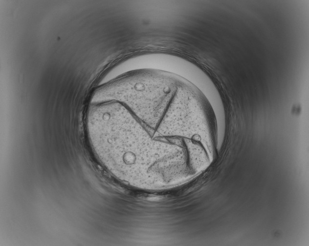 X0000111580312200908271042