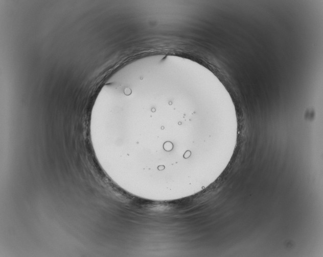 X0000111580313200908271042