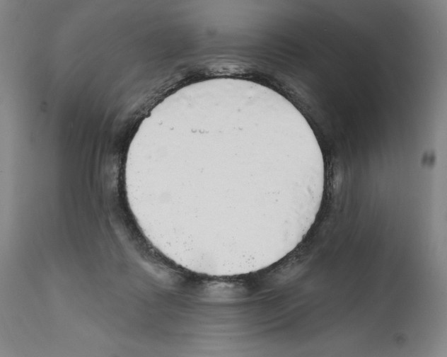 X0000111580315200908271042