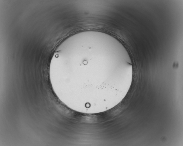 X0000111580317200908271042