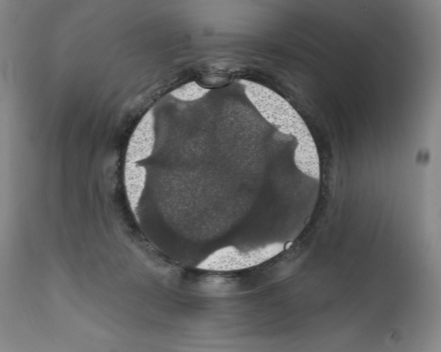 X0000111580319200908271042