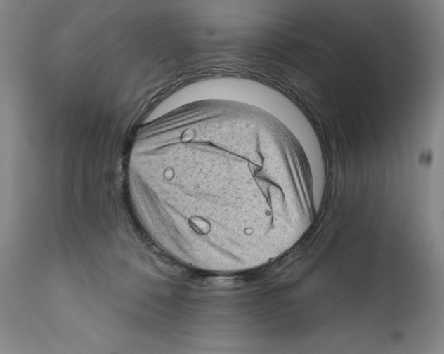 X0000111580320200908271042