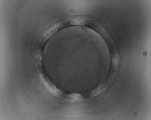 X0000111580322200908271042