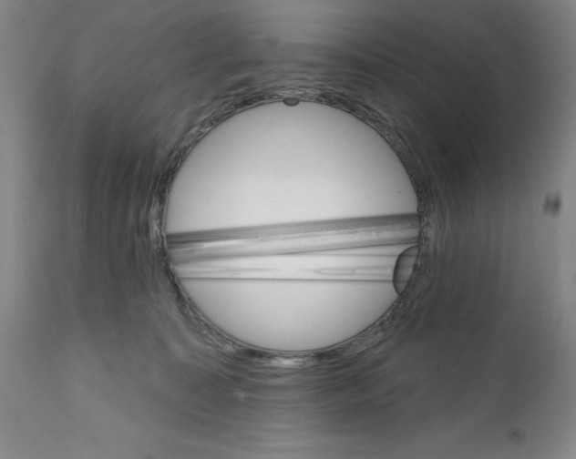 X0000111580323200908271042