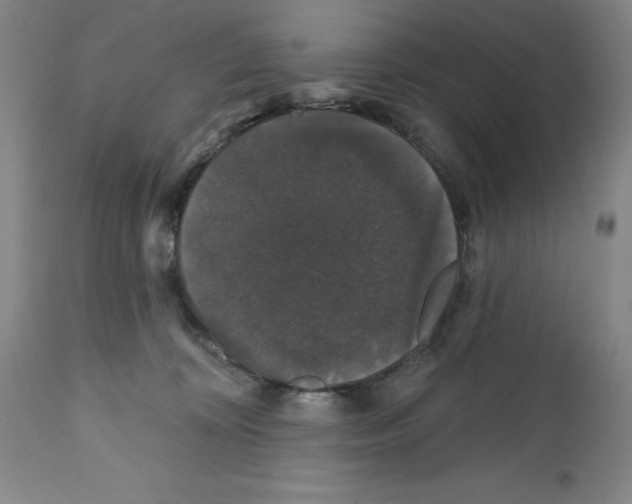 X0000111580324200908271042