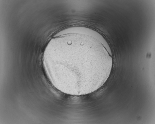 X0000111580325200908271042