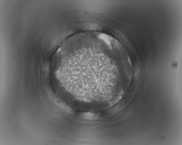 X0000111580326200908271042