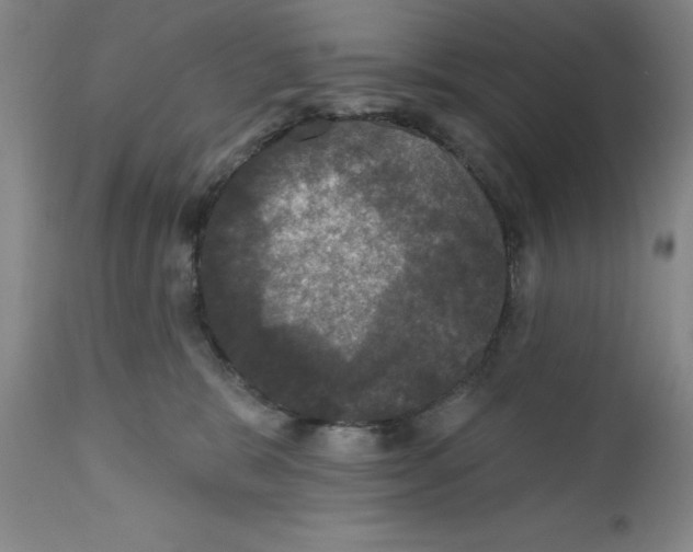 X0000111580327200908271041