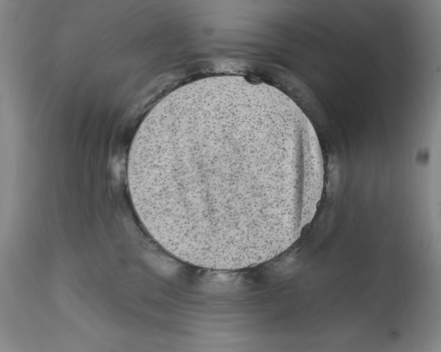 X0000111580329200908271041