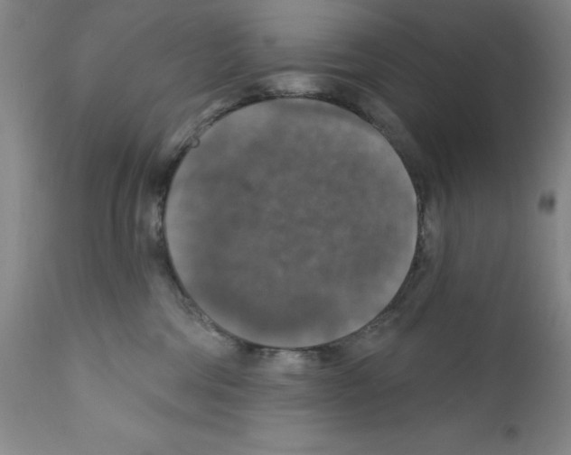 X0000111580330200908271041