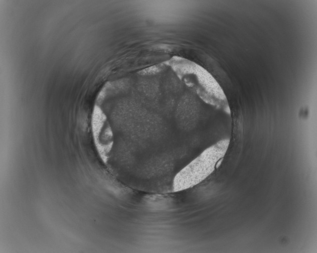 X0000111580331200908271041