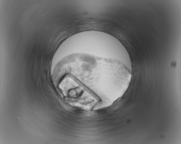 X0000111580333200908271041