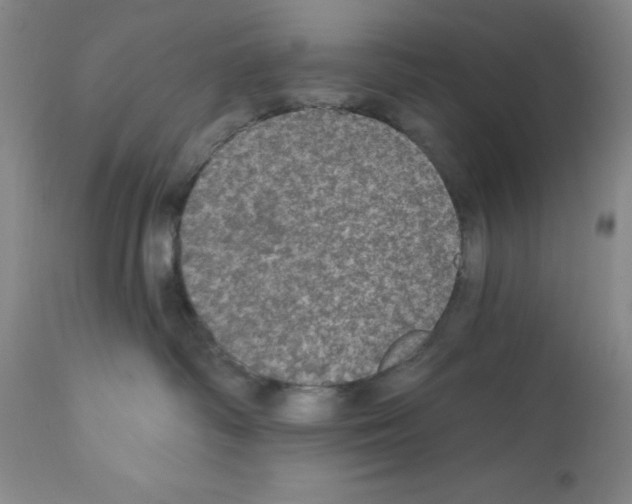 X0000111580334200908271041