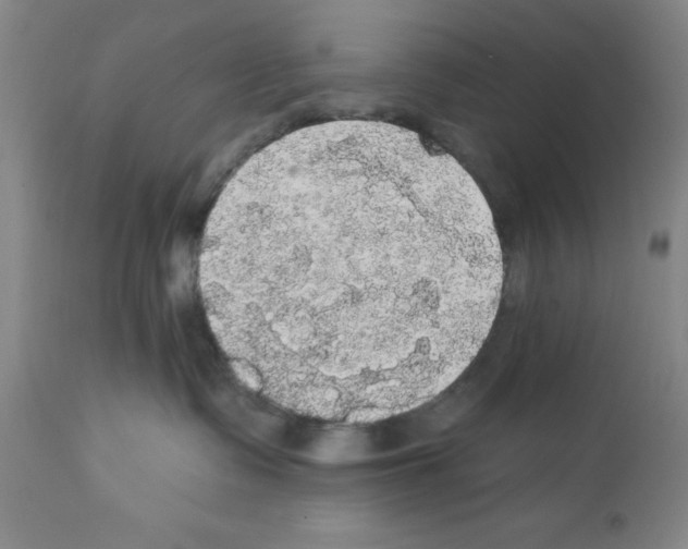 X0000111580335200908271041