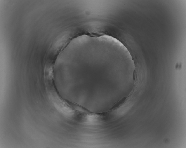 X0000111580336200908271041