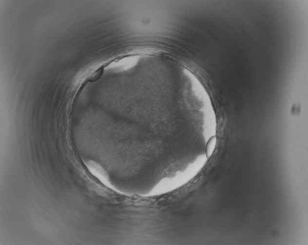 X0000111580337200908271041