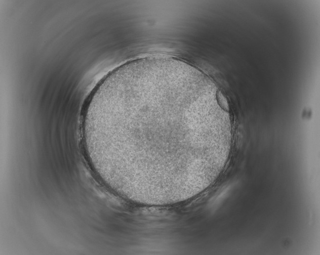 X0000111580338200908271041