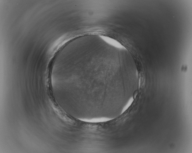 X0000111580339200908271041