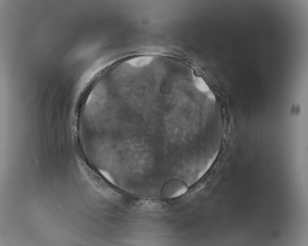 X0000111580343200908271041