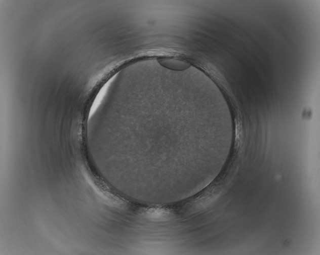 X0000111580348200908271041