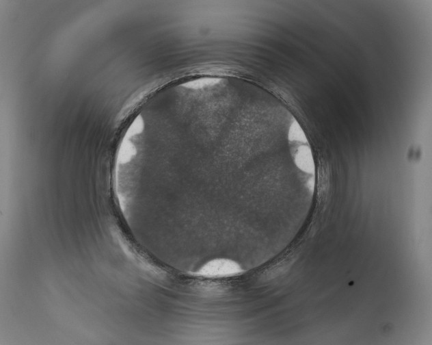 X0000111580349200908271041