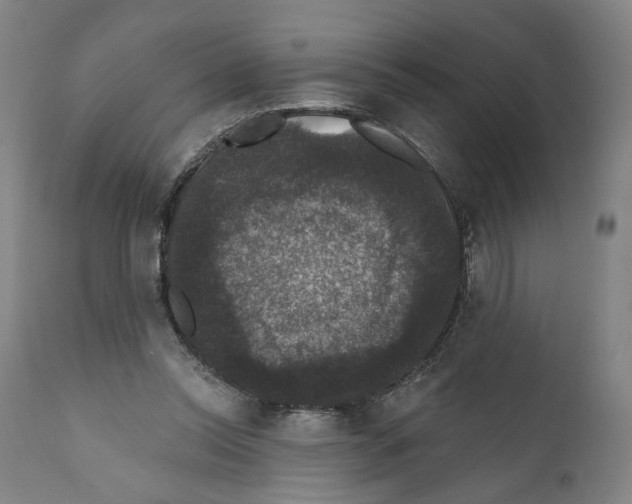 X0000111580350200908271041