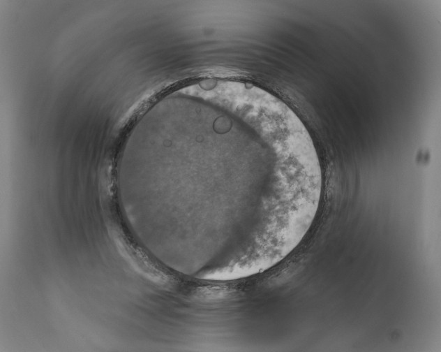 X0000111580351200908271041