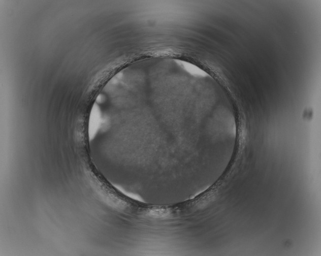 X0000111580353200908271041