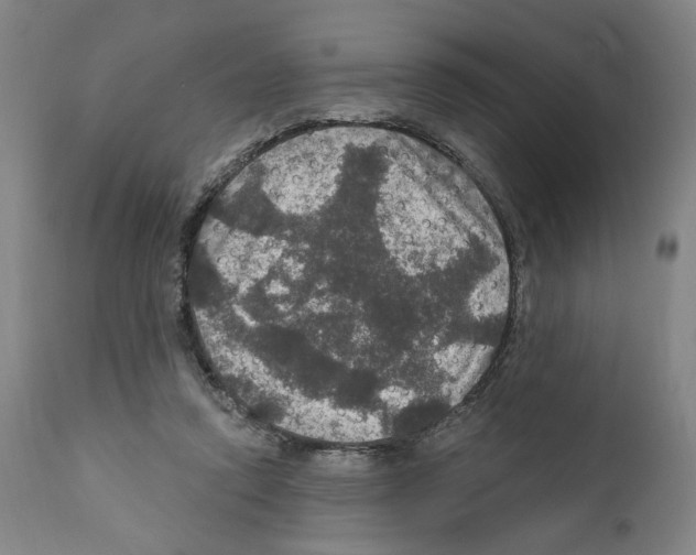 X0000111580354200908271041