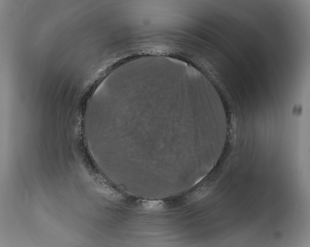 X0000111580355200908271041