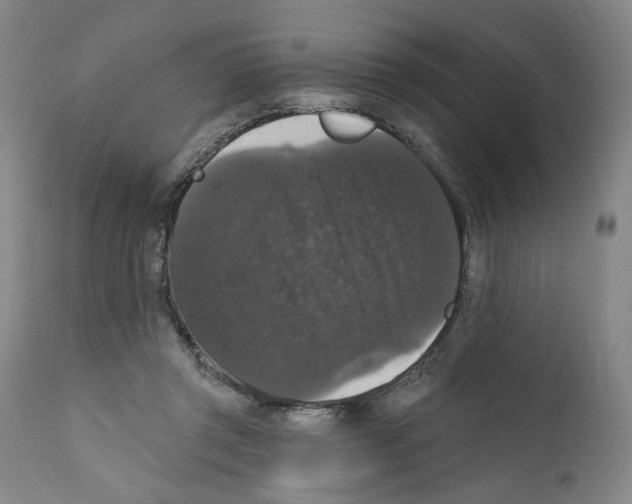 X0000111580357200908271041