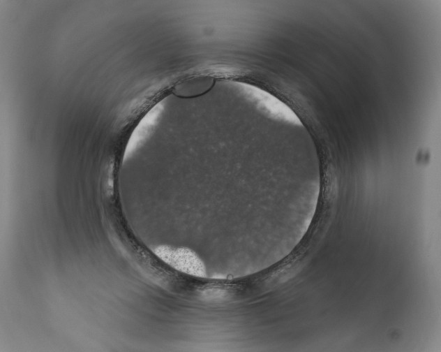 X0000111580358200908271041