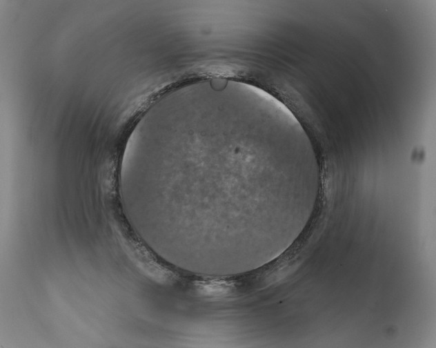 X0000111580359200908271041