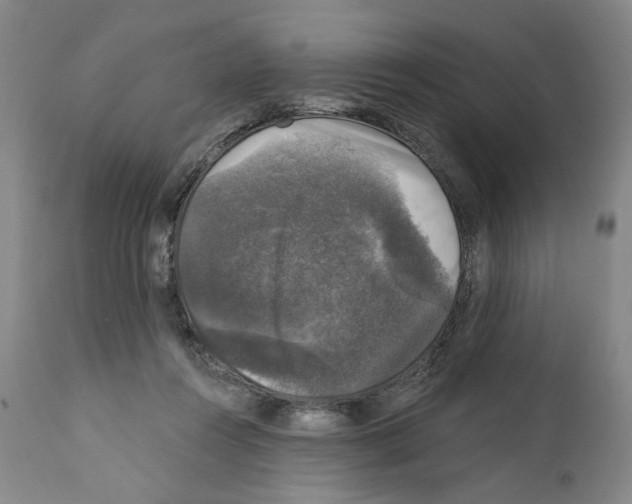 X0000111580360200908271041