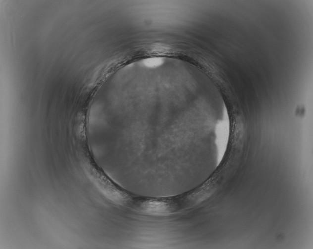 X0000111580361200908271041